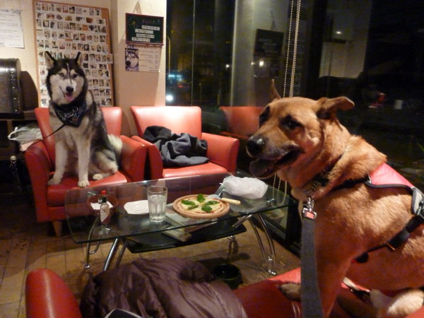 f:id:mamimami_LA:20100225192949j:image f:id:mamimami_LA:20100225192949j:image