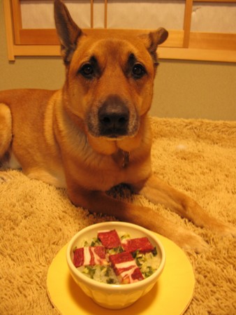 f:id:mamimami_LA:20100303014123j:image