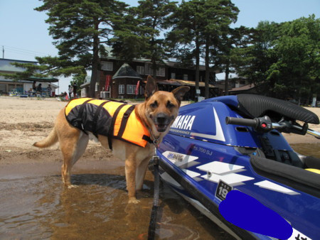 f:id:mamimami_LA:20100309122050j:image