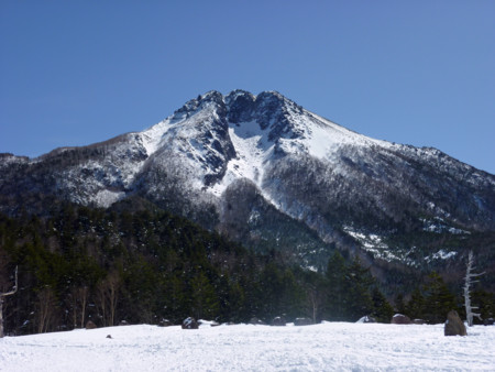 f:id:mamimami_LA:20100314105943j:image f:id:mamimami_LA:20100314105943j:image