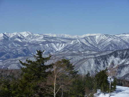 f:id:mamimami_LA:20100314110620j:image f:id:mamimami_LA:20100314110620j:image