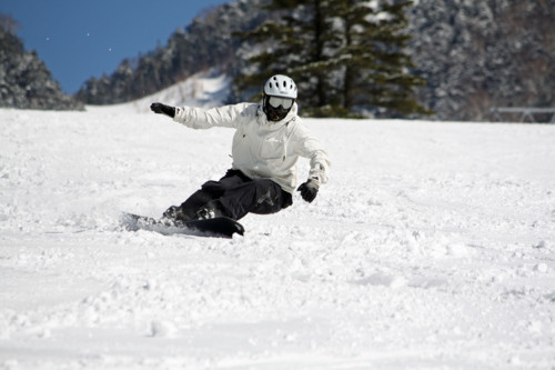 f:id:mamimami_LA:20100318202335j:image f:id:mamimami_LA:20100318202335j:image