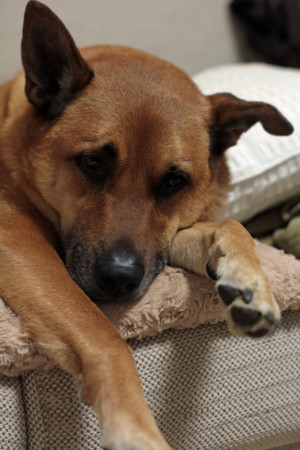 f:id:mamimami_LA:20100404051138j:image