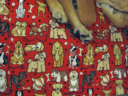 f:id:mamimami_LA:20100421190714j:image f:id:mamimami_LA:20100421190714j:image