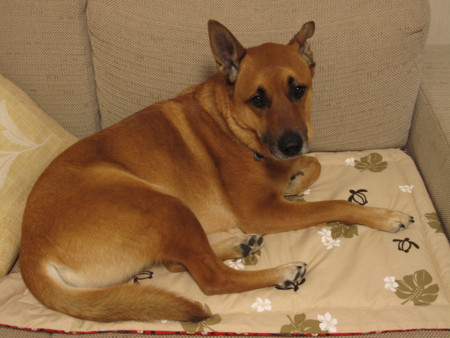 f:id:mamimami_LA:20100421190803j:image f:id:mamimami_LA:20100421190803j:image