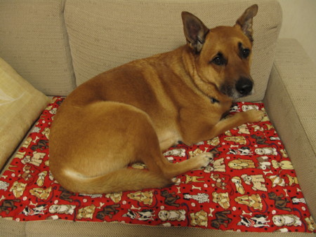 f:id:mamimami_LA:20100421190923j:image f:id:mamimami_LA:20100421190923j:image