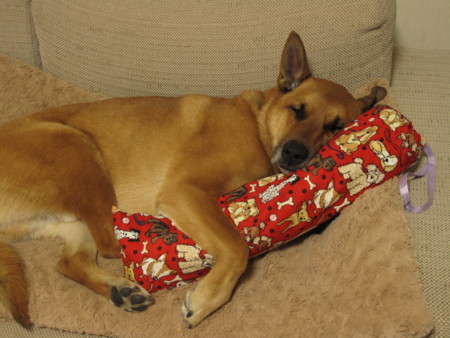 f:id:mamimami_LA:20100421195449j:image f:id:mamimami_LA:20100421195449j:image