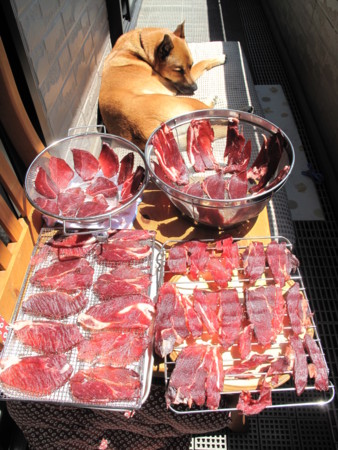 f:id:mamimami_LA:20100513174543j:image