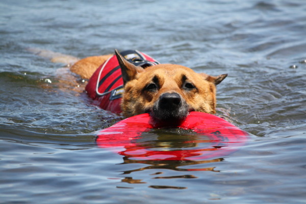 f:id:mamimami_LA:20100605185925j:image