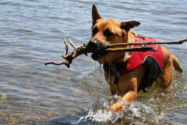 f:id:mamimami_LA:20100605233348j:image