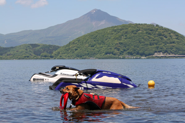 f:id:mamimami_LA:20100606013404j:image