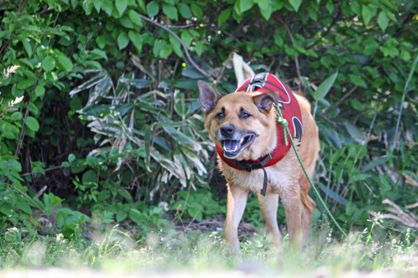 f:id:mamimami_LA:20100606013432j:image