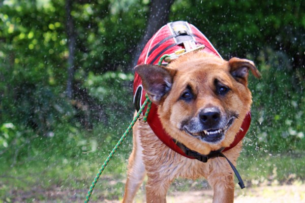 f:id:mamimami_LA:20100606015251j:image