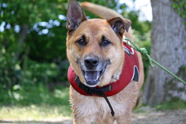 f:id:mamimami_LA:20100606015400j:image