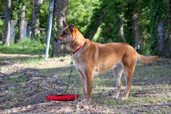 f:id:mamimami_LA:20100606050020j:image