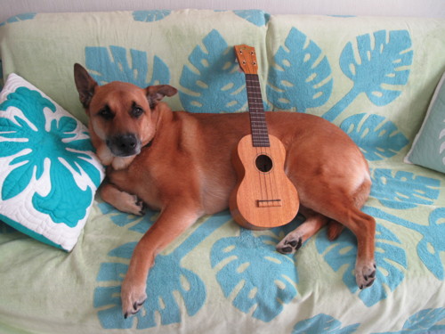 f:id:mamimami_LA:20100616164500j:image