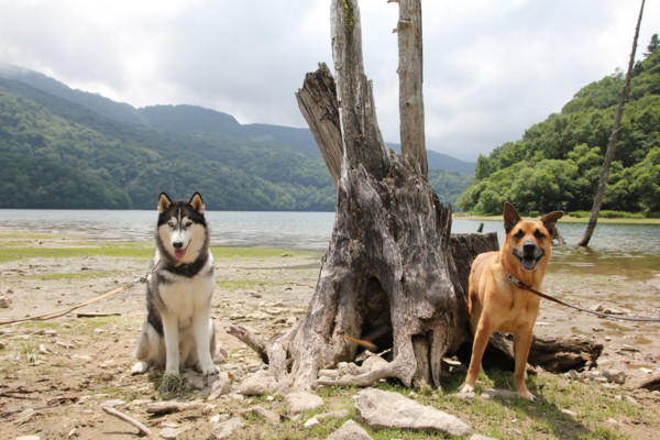 f:id:mamimami_LA:20100810114219j:image f:id:mamimami_LA:20100810114219j:image