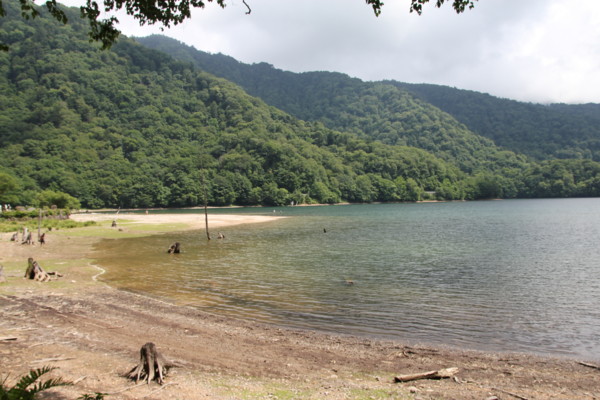 f:id:mamimami_LA:20100810130947j:image f:id:mamimami_LA:20100810130947j:image