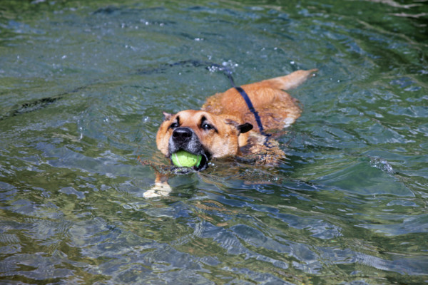 f:id:mamimami_LA:20100810162405j:image f:id:mamimami_LA:20100810162405j:image