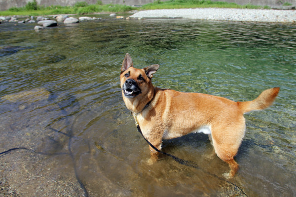 f:id:mamimami_LA:20100810162517j:image f:id:mamimami_LA:20100810162517j:image