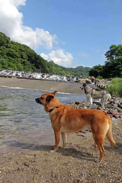 f:id:mamimami_LA:20100810163813j:image f:id:mamimami_LA:20100810163813j:image