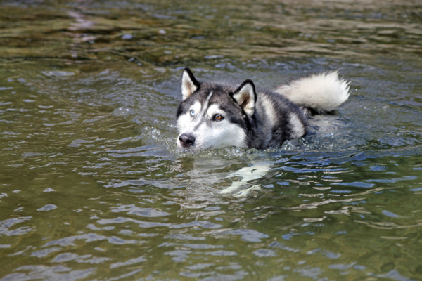 f:id:mamimami_LA:20100810164341j:image f:id:mamimami_LA:20100810164341j:image