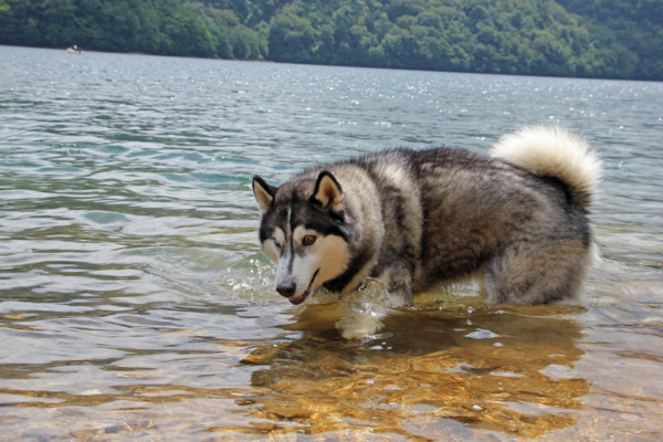 f:id:mamimami_LA:20100810185439j:image f:id:mamimami_LA:20100810185439j:image