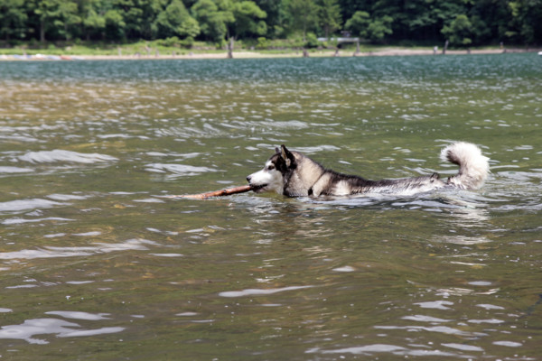 f:id:mamimami_LA:20100810185756j:image f:id:mamimami_LA:20100810185756j:image