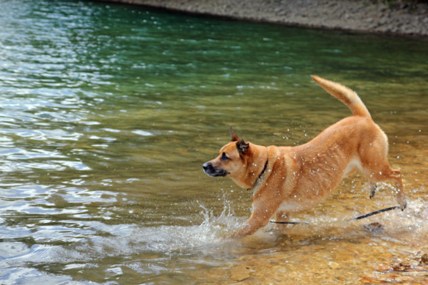 f:id:mamimami_LA:20100810190931j:image f:id:mamimami_LA:20100810190931j:image