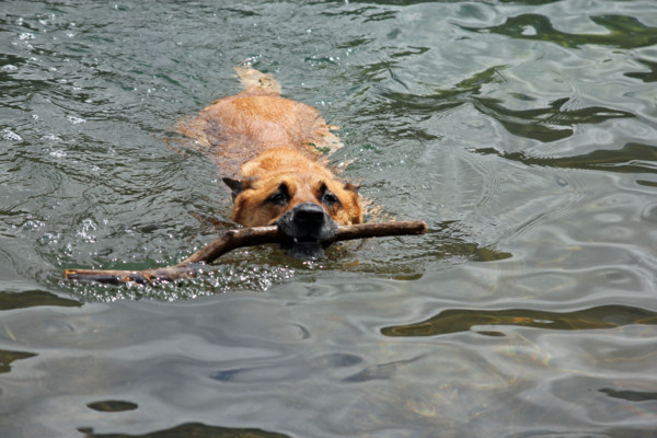 f:id:mamimami_LA:20100810191247j:image f:id:mamimami_LA:20100810191247j:image