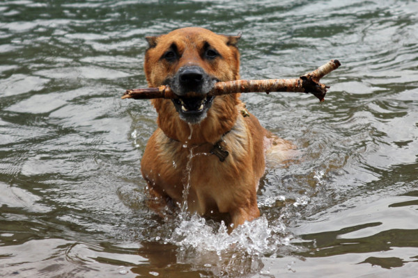 f:id:mamimami_LA:20100810193158j:image f:id:mamimami_LA:20100810193158j:image