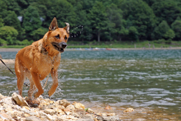 f:id:mamimami_LA:20100810193657j:image f:id:mamimami_LA:20100810193657j:image