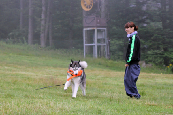 f:id:mamimami_LA:20100811172100j:image f:id:mamimami_LA:20100811172100j:image