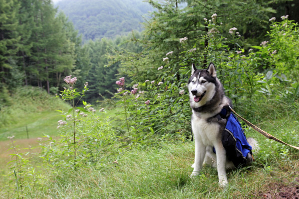 f:id:mamimami_LA:20100811175043j:image f:id:mamimami_LA:20100811175043j:image