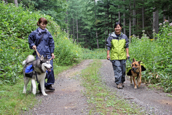 f:id:mamimami_LA:20100811175734j:image f:id:mamimami_LA:20100811175734j:image