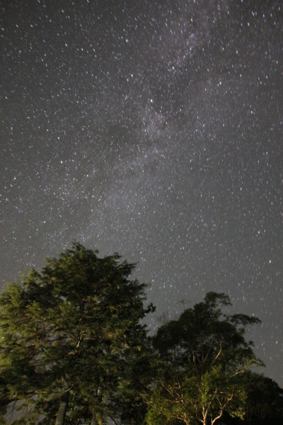 f:id:mamimami_LA:20100811212852j:image f:id:mamimami_LA:20100811212852j:image