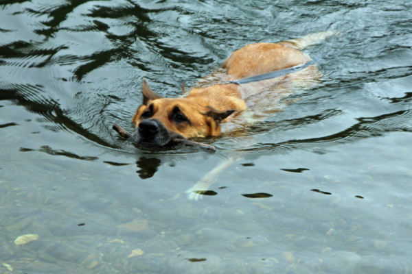 f:id:mamimami_LA:20100811213512j:image f:id:mamimami_LA:20100811213512j:image