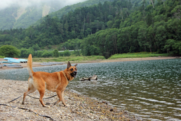 f:id:mamimami_LA:20100811213644j:image f:id:mamimami_LA:20100811213644j:image