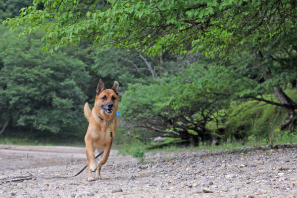 f:id:mamimami_LA:20100811214136j:image f:id:mamimami_LA:20100811214136j:image