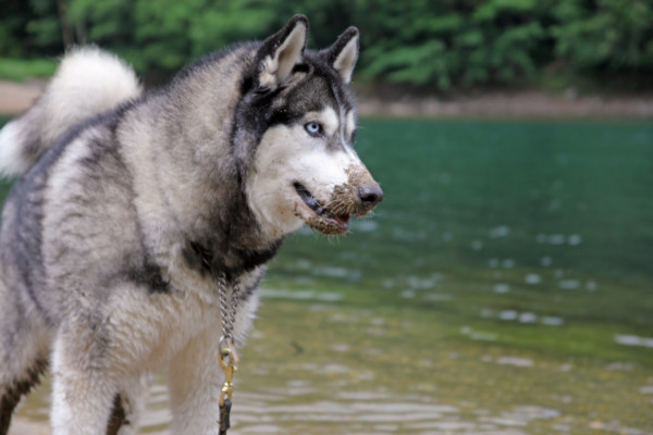 f:id:mamimami_LA:20100811214534j:image f:id:mamimami_LA:20100811214534j:image