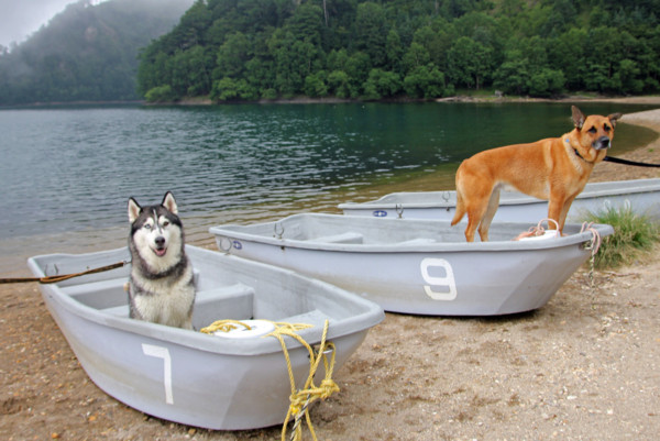 f:id:mamimami_LA:20100811220752j:image f:id:mamimami_LA:20100811220752j:image