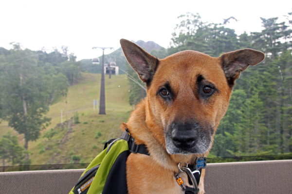 f:id:mamimami_LA:20100812082057j:image f:id:mamimami_LA:20100812082057j:image