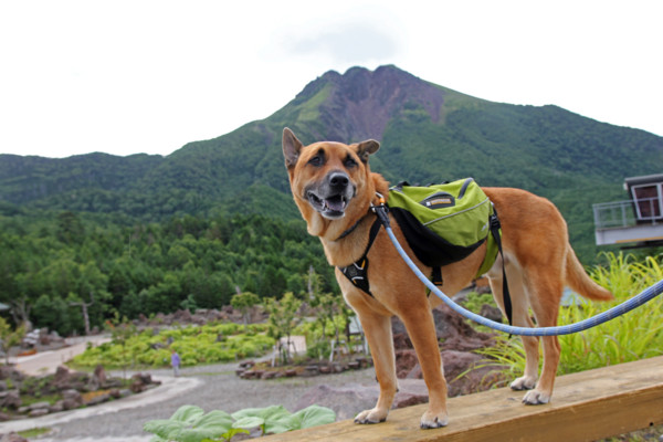 f:id:mamimami_LA:20100812152548j:image f:id:mamimami_LA:20100812152548j:image