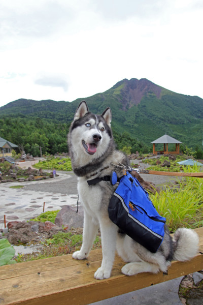 f:id:mamimami_LA:20100812152645j:image f:id:mamimami_LA:20100812152645j:image