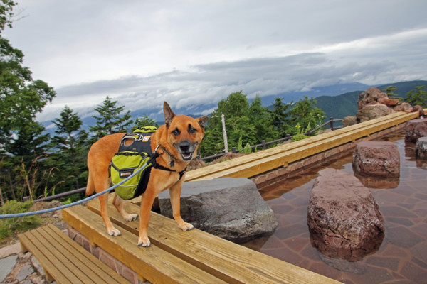 f:id:mamimami_LA:20100812152840j:image f:id:mamimami_LA:20100812152840j:image