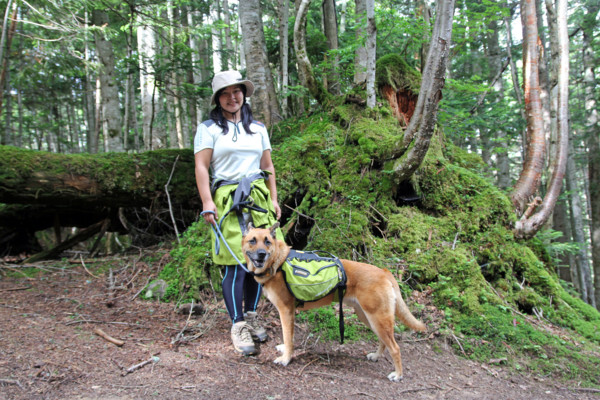 f:id:mamimami_LA:20100812155440j:image f:id:mamimami_LA:20100812155440j:image