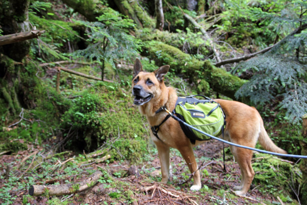 f:id:mamimami_LA:20100812155936j:image f:id:mamimami_LA:20100812155936j:image