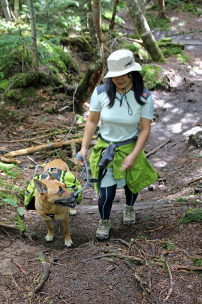 f:id:mamimami_LA:20100812161226j:image f:id:mamimami_LA:20100812161226j:image