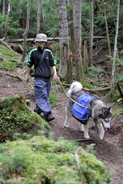 f:id:mamimami_LA:20100812162349j:image f:id:mamimami_LA:20100812162349j:image