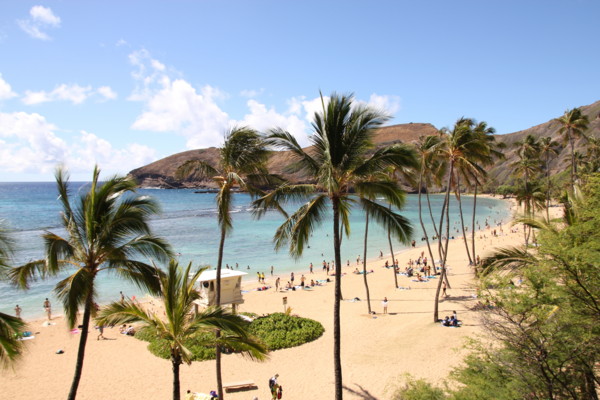 f:id:mamimami_LA:20100903050110j:image